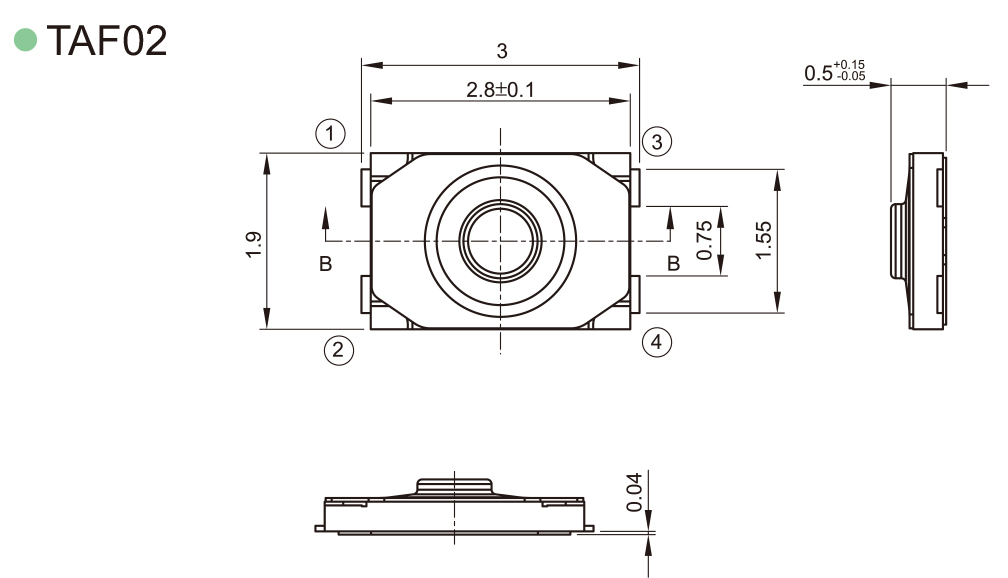 TAF02-BWN-R 2819-180gf白膜黑点 尺寸图